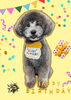 「Dog salon mofu mofu　余市町」