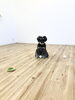 ころ。ころ。こ、ろ、ん。アンちゃんに向かって…「ましゅまろ幼稚園　^ ^」