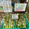 「信州すいかの名産地『下原すいか』入荷しました！」