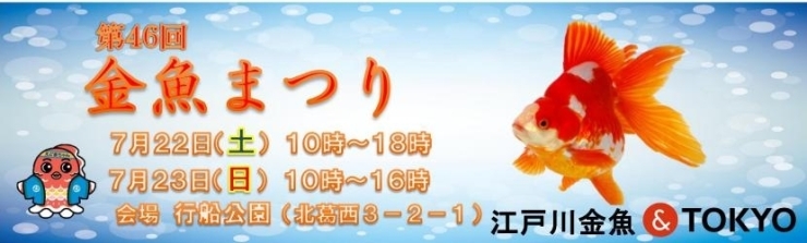 終了しました 7月22日 23日 金魚まつり 行船公園 オススメお出かけ情報 まいぷれ 江戸川区 終了しました 7月22日 23日 金魚まつり 行船公園 オススメお出かけ情報 まいぷれ 江戸川区