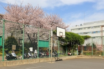 バスケットゴールのあるスポーツコーナー