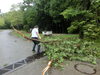 「暴風雨で木が･･･木がぁぁぁ」