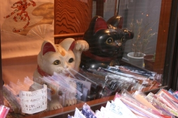和風雑貨屋さんの招き猫。