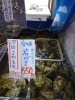「当店で圧倒的人気を誇る”○○○”が大漁入荷しました！！【八千代店８３号】→八千代道の駅隣」
