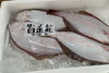 「ハラコ販売中でーす‼️鮮魚パックいろいろ販売中‼️〆鯖も販売致します🐳」