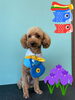 「Dog salon mofu mofu 余市町」