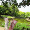 45/100　 『近松公園』