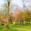 滝の川公園｜滝川市