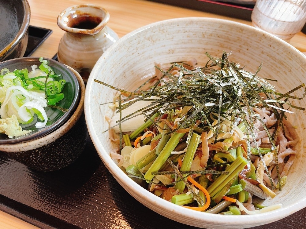 札幌で人気を誇る蕎麦屋 手打ちそば さくら 千歳市みどり台北 千歳市 恵庭市のおすすめランチ特集 まいぷれ 千歳 恵庭 札幌で人気を誇る蕎麦屋 手打ちそば さくら 千歳市みどり台北 千歳市 恵庭市のおすすめランチ特集 まいぷれ 千歳 恵庭