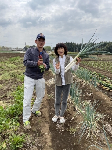 カラフル野菜の小山農園にて収穫！「⭐︎カラフル野菜の小山農園、谷川真理さんビーツアンバサダーに⭐︎」