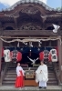 八幡さまの御使いの鳩を空へ放ちました「【開催のご報告】秋空の下、放生会大祭を今年も無事に執り行いました」