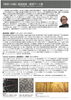 「「時空への扉」星加民雄・錯視アート展が開催されます！」