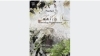 企画展「Nerhol 種蒔きと烏 Misreading Righteousness」（7月