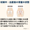 妊娠中、産後の骨盤の状態「産後骨盤矯正」
