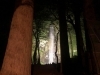 玉簾の滝ライトアップ