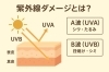 紫外線は肌の奥まで届き、秋にトラブルを引き起こす「南草津｜夏の紫外線ダメージを秋にリセット！整体でできる肌荒れ＆体質改善ケア」