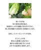 「【冬の味覚でインナービューティ♪✨】」