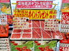 「《山形県産さくらんぼ》の予約受付が始まりました✨」