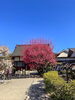 結城神社「結城神社⛩」
