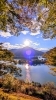 「丹沢湖畔の紅葉が少しずつ色付いてきました！【小田原観光・足柄地域活性】」