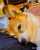 Today's hug「4月6日(月) もりのきより（小樽 ゲストハウス)」