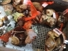 「魚魚市場鮮魚コーナーおすすめは「九十九島産生かき」です♪」