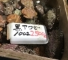 「魚魚市場鮮魚コーナーおすすめは「チカメキントキ」です♪」