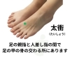 ツボ　太衝「ぎっくり腰予防に◎毎日1分のツボ習慣【豊明市前後駅からすぐの鍼灸院】」