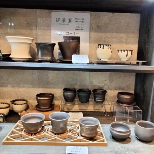 上島かな子さんの鉢「八王子　陶芸作家　調麓窯 上島かな子さんの鉢　入荷しました。　アガベ、サボテン、塊根、多肉　植物が映える鉢取り揃えています。」