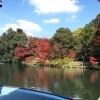 高岡古城公園のお濠めぐり遊覧船に乗ってきました♪
