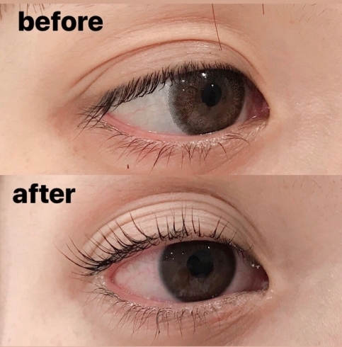 自まつ毛で目ヂカラアップ アトリエサロン パレットのニュース まいぷれ 出雲 自まつ毛で目ヂカラアップ アトリエサロン パレットのニュース まいぷれ 出雲