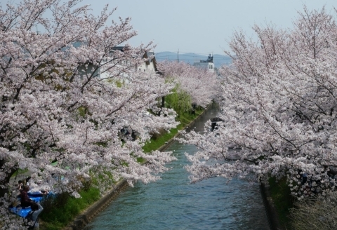 宇治川派流