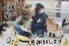 「「無料デイサービスの老犬さん達のために、優しい床に張り替えたい！」を地域で一緒に叶えませんか？クラウドファディングで支援の呼びかけです！」