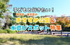 ☆こどもと行きたい☆おすすめの公園＆水遊びスポット特集