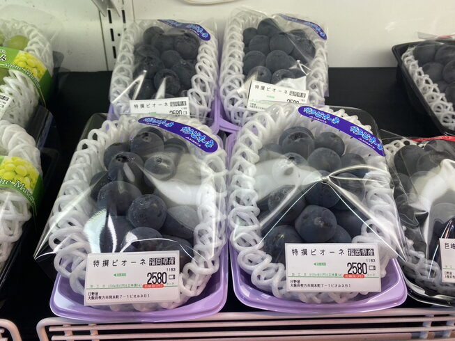 博多ピオーネ🍇こちらもご褒美にピッタリですね🎵「山梨の桃🍑 やさしい甘さに、心ほころびますね😋 枚方ビオルネ地下1階 新鮮果実 日野屋」