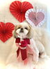 くーちゃん／シーズーテディベア　ロング「Happy Valentine ♡」