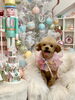 てんくん「MerryXmas🎄」