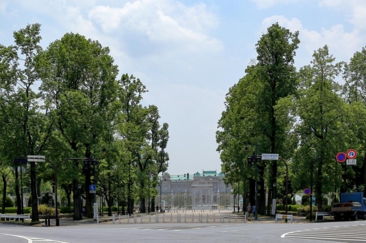 真ん中に伸びるのは迎賓館赤坂離宮に通じる道路、両側の緑地が若葉東公園