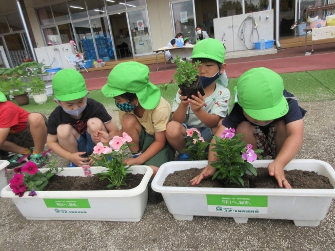 優しくやさしく…「コメリ花植え教室がありました！！」