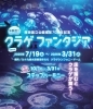 西海国立公園指定70周年記念　クラゲファンタジア（後期）