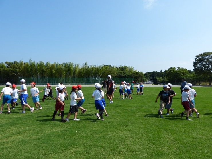鹿島アントラーズクラブ練習場、行方市内小学校（行方市立麻生東小学校)等で使用されている芝生はスポーツ競技場や校庭、一般家庭で使用される代表品種です。
