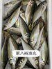 鯵「岩牡蠣❼月〜❽月販売致します」