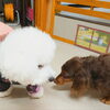 「今日のお友達」