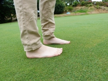 ゴルフ場グリーンで使用される芝生は、クリーピングベントグラス。裸足で立った瞬間、まさに「ジュータン」です。