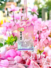 透明にきらめく桃色の翼竜お守り spring ver.再頒布🌸「好評につき再頒布のご案内｜透明にきらめく桃色の翼竜お守り Spring Ver.・翼竜御朱印帳 Spring Ver.🌸」