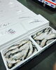 「鮮魚入荷中！」