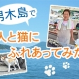 男木島で、人と猫にふれあってみた。
