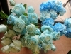 明るいブルーも「【はなやHOK皆生店】Blue Flowers！」
