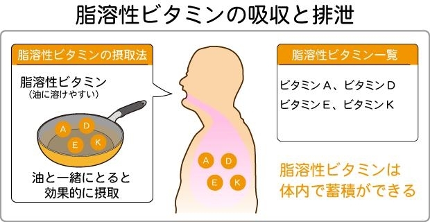 ビタミンDは油に溶け込みます。「「ビタミンD」」