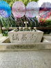 「本日の境内の様子です」